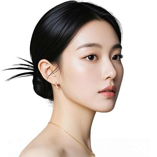 모델